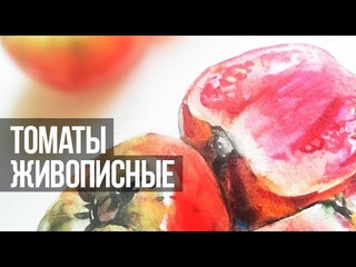 Живописные томаты акварелью