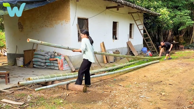 The couple went to the mountain to upgrade the old house and garden. Renovating the pig duck