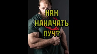 ТГК: Святилище Пастора
