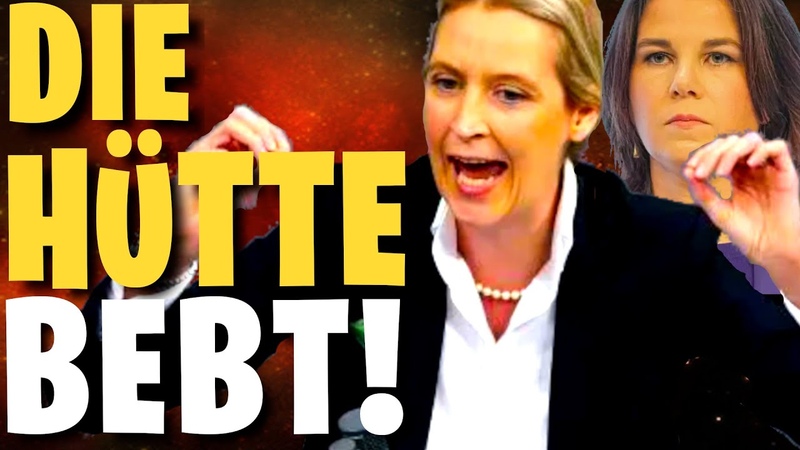 DA WACKELN DIE WÄ NDE ALICE WEIDEL, ANDREAS