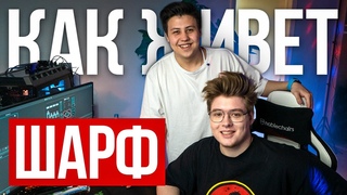 КАК ЖИВЕТ ШАРФ - про аварию, компьютер за , отношения