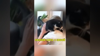☺ Позови кота с собой 😺 ч.1