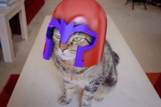 X-Men: Magneto Cat