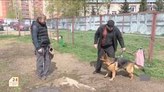 Дрессировка собак | Элита