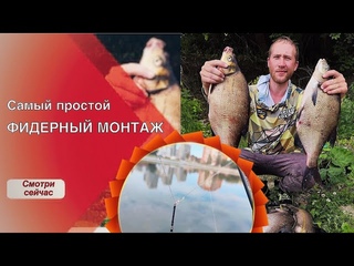 Самый простой и лучший ФИДЕРНЫЙ МОНТАЖ .