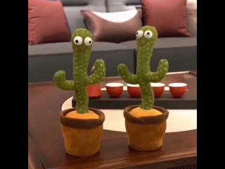 Танцующий и поющий кактус