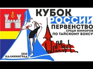 Кубок России по тайскому боксу 2015. Финалы