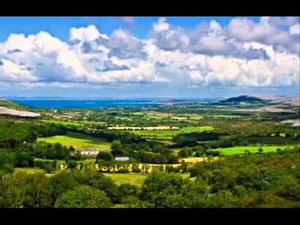 Irish Rovers star of the county
