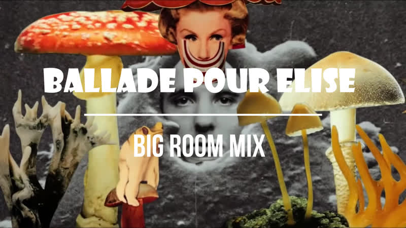 MR. DI Marq Aurel Ballade Pour Elise ( Big Room