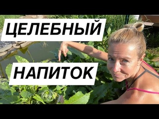 ЛЕКАРСТВЕННЫЙ СБОР