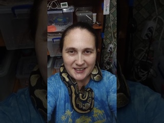Как какает питон. Не для брезгливых!