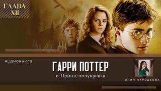 Гарри Поттер и Принц-полукровка 12 глава | Серебро и опалы | Аудиокнига | Аудиоспектакль