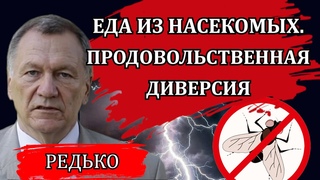 Продовольственная диверсия. Забой скота. Украинская компания и мука из сверчков / Александр Редько