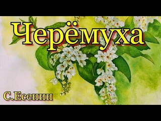 Аудиокнига      Сергей Есенин - Черёмуха.   Стихи