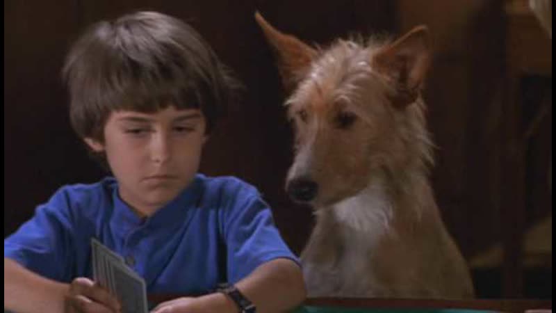 Зевс и Роксана, Zeus and Roxanne (1997 США) комедия приключения, дети в