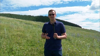 Сбор ягод