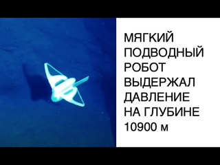 Создан мягкий робот для исследования Марианской впадины: новости техники роботы 2021