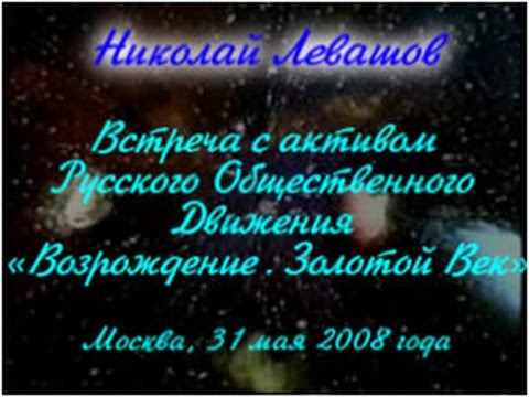 3 я Встреча Николая Левашова с активом Движения