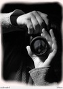 Фотография Schnaider Vladimir