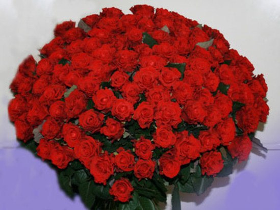 №3, Евгений Стельмашок, 36 лет, Гомель №3, Евгений Стельмашок, 36 лет, Гомель