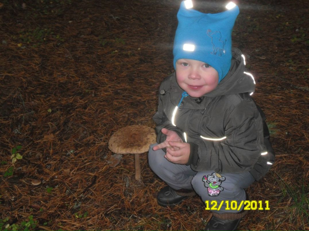 Александр Полиновский | Санкт-Петербург