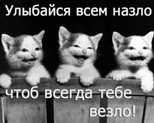 №7, Танечка Кузьма, Хуст №7, Танечка Кузьма, Хуст