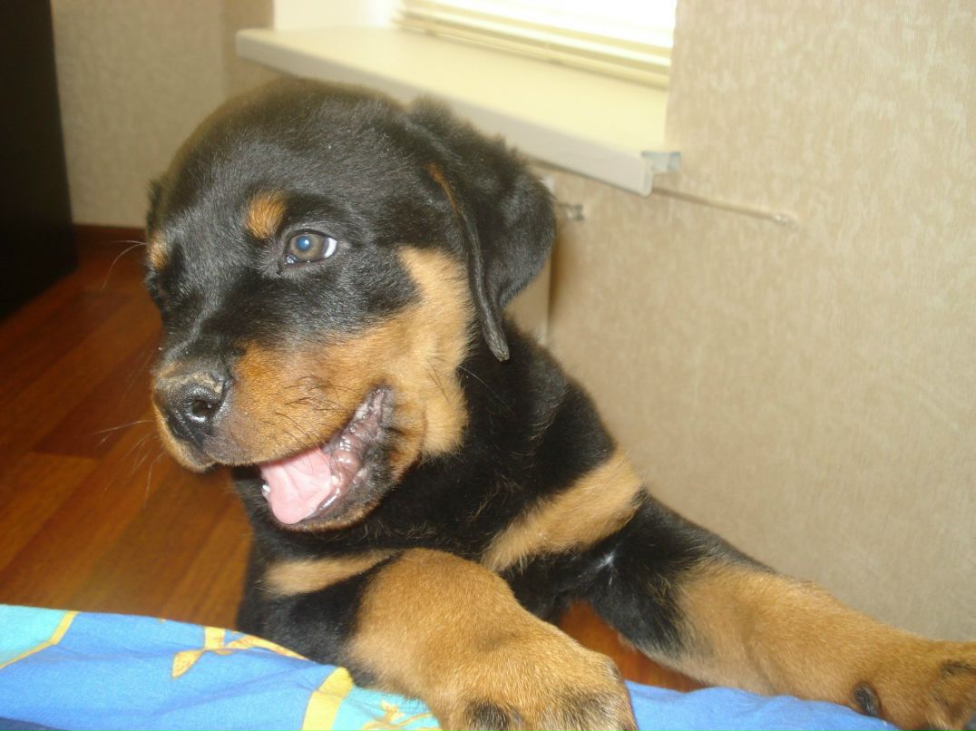 Сергей Михайлюк | Киев