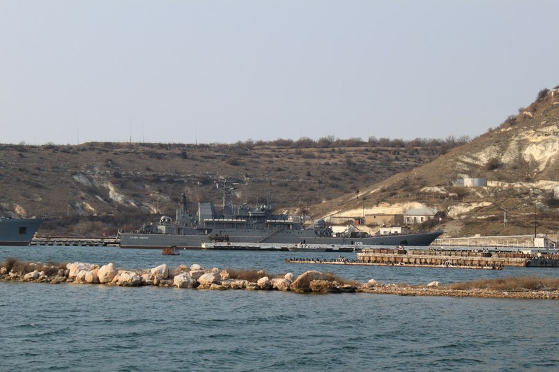 Катя Шереметева ***Grenouille heureuse*** | Nice