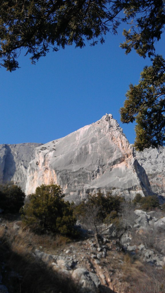 Катя Шереметева ***Grenouille heureuse*** | Nice