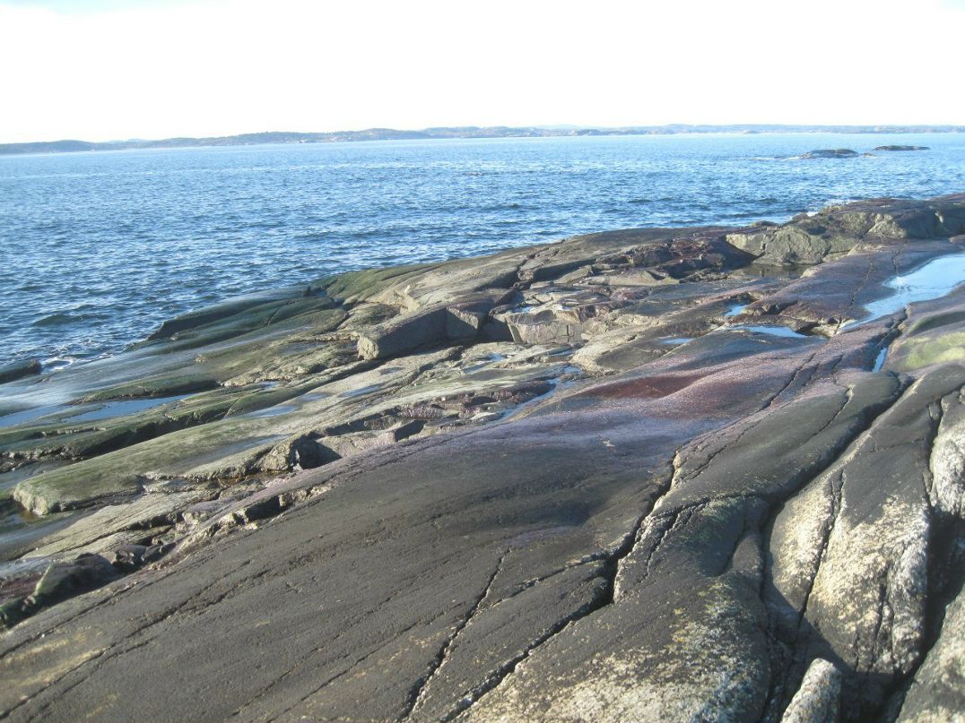 Елена Карлсен | Tønsberg