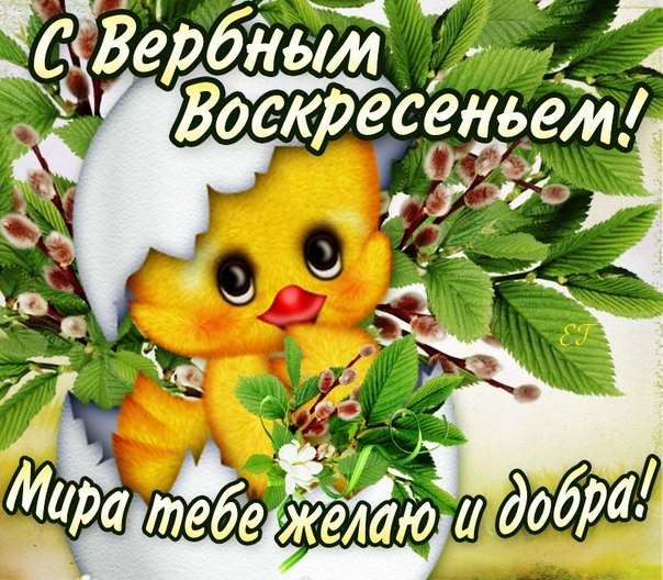 Алёна Клименчук | Одесса