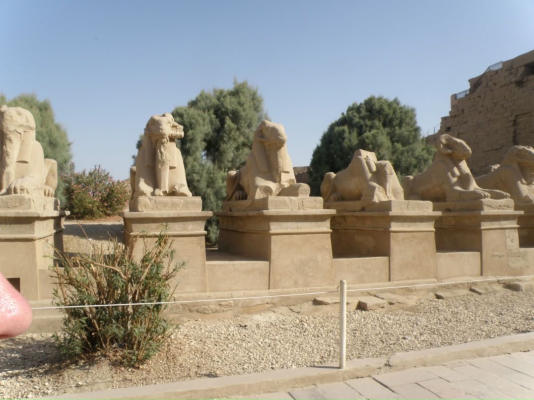 Надежда Цыганкова | Тольятти