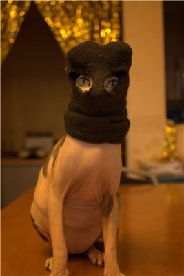 Виталик Шейко | 