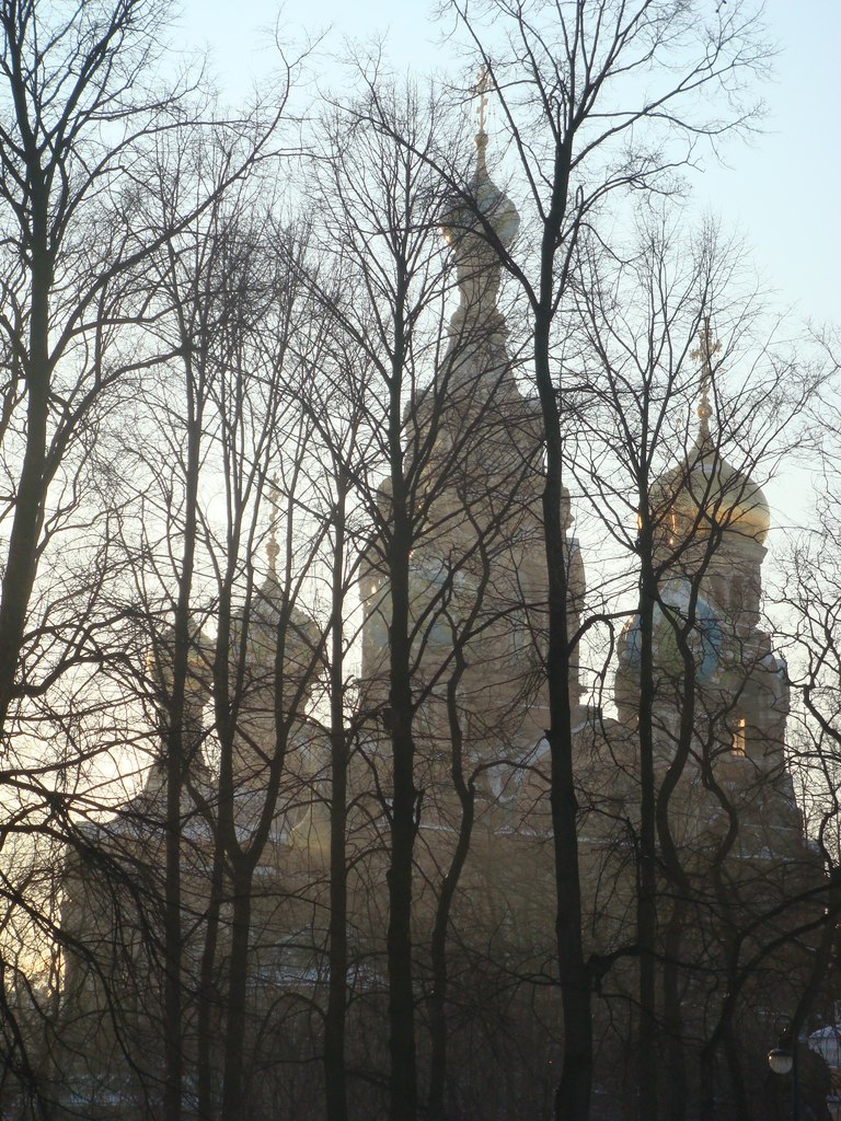 Мария Дудуца | Саратов