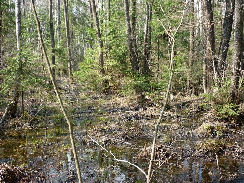 Егор Свищ | Москва