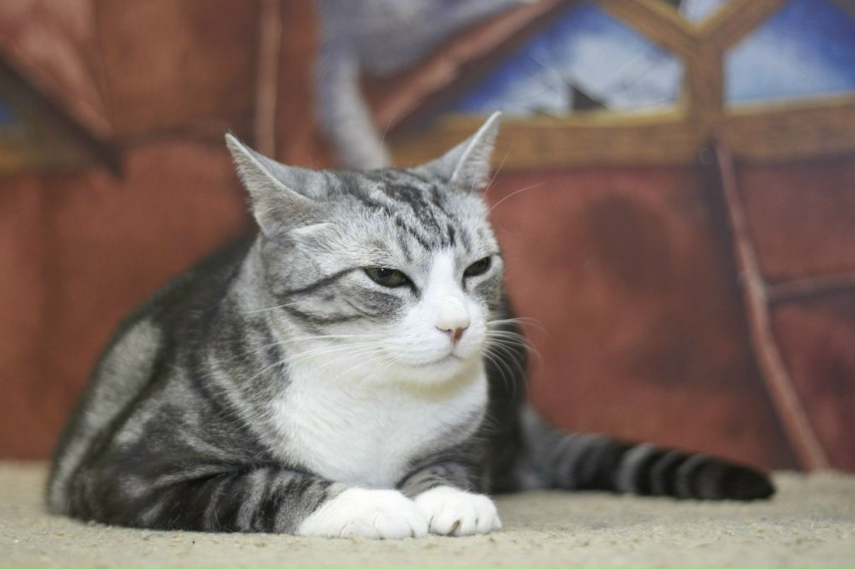 Катерина Uma rock♥n♥heart | Санкт-Петербург