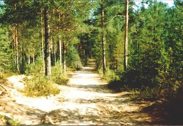 Олексій Гаркавий | Украинка