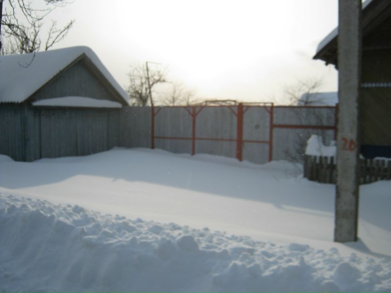 Алексей Кононов | Минск