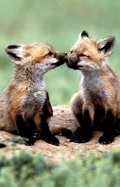 Полина Шмагарина ветер в поле | Санкт-Петербург