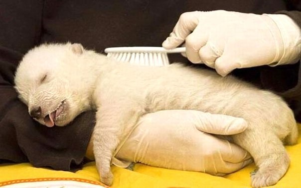 Стасик Рудь ♥artist_as♥ | Пинск