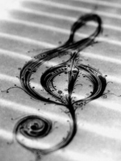 Самер Шафек | Запорожье