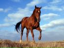 №40 Юлия Кузнецова 22.01.1997: профиль, фото, статус - ВКонтакте №40 Юлия Кузнецова 22.01.1997: профиль, фото, статус - ВКонтакте