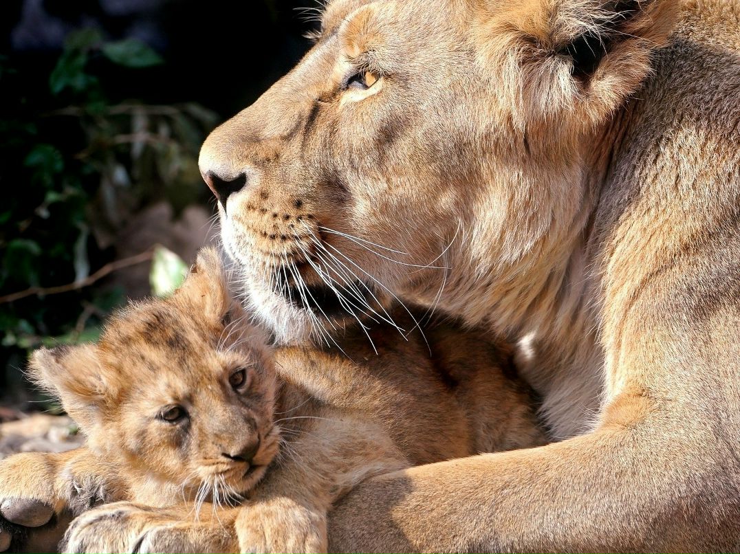 Оля Аринина ღ | Нижний Новгород