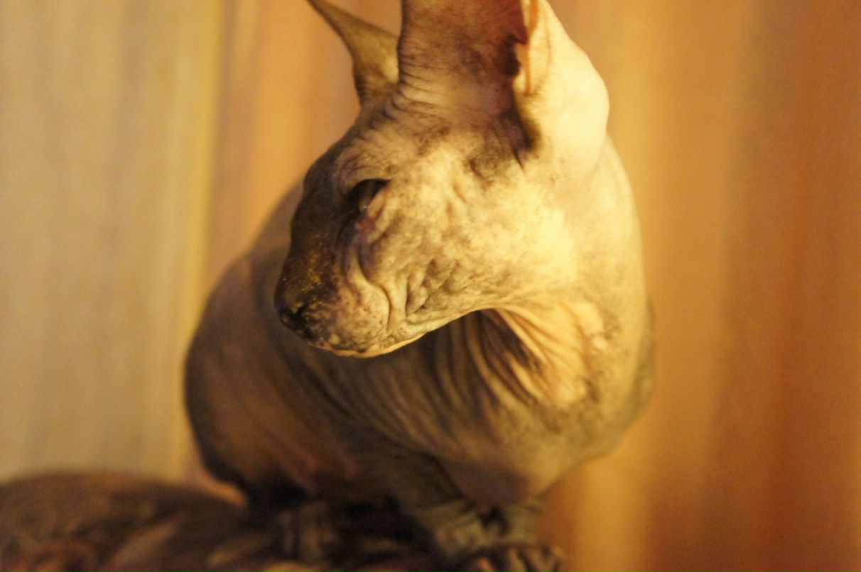 Виталий Александрович | Москва