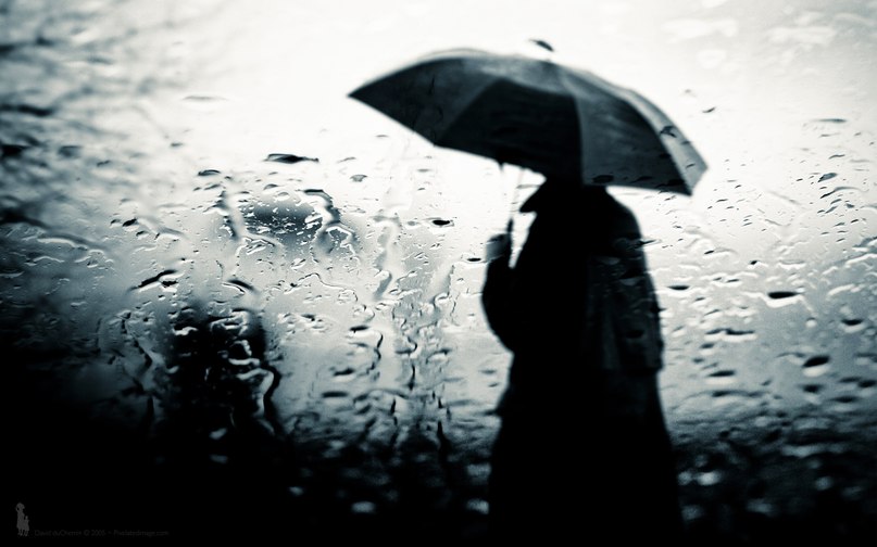 Иван Терёхин | Новосибирск