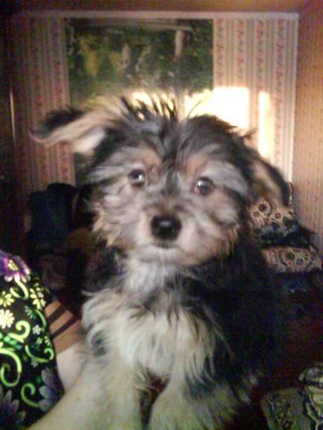 Ирина Болдина | Егорьевск