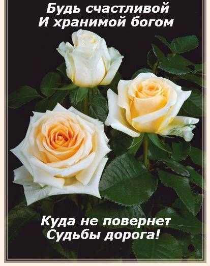 №31, Руслана Корчинська, Звенигородка №31, Руслана Корчинська, Звенигородка