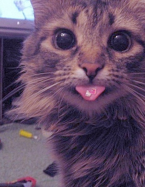 №87, Наталья Иванова, Санкт-Петербург №87, Наталья Иванова, Санкт-Петербург