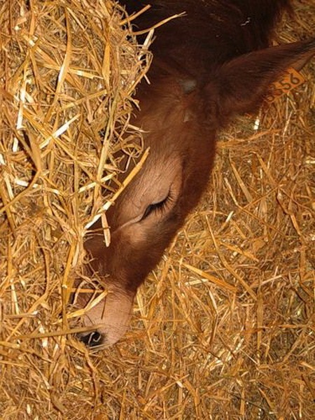 №30, Сакине Ильясова, Симферополь №30, Сакине Ильясова, Симферополь