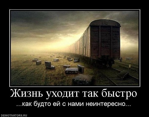 №9, Северус Снейп №9, Северус Снейп